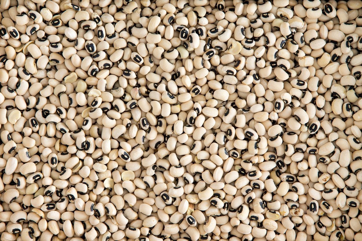 Field Pea Information - Learn About Different Field Pea Varieties