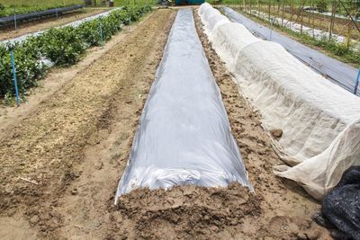 Covered Rows Of Soil In A Garden
