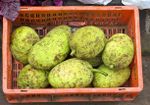 Breadfruit In Crate Ready To Be Harvested