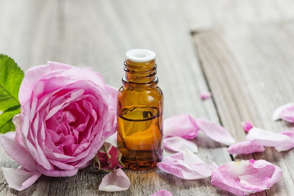 A bottle of rose oil and a rose blossom