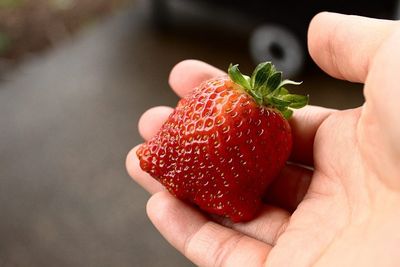 Hand Holding A Seascape Strawberry