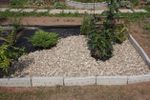 Rocks Being Placed In A Garden Bed