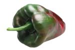 A Red-Green Dolmalik Pepper