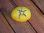 Single Yellow Garden Peach Tomato Plant