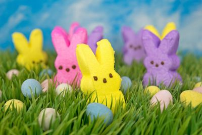 Peeps And Easter Candy In Grass
