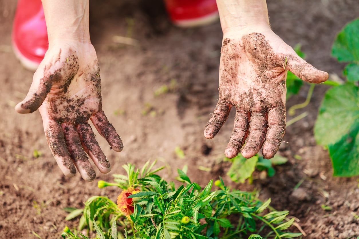 Clean Hands In The Garden – How To Avoid Getting Dirt Under Your Fingernails  While Gardening