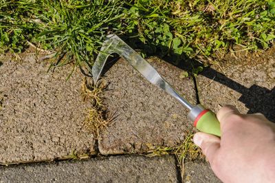 Person Using A Patio Knife For Weeding Between Garden Bricks