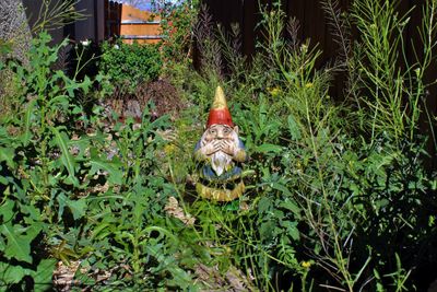 Garden Gnome In Weeds