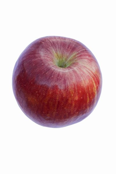 Single Red Snapp Apple