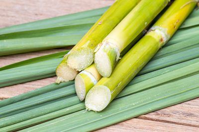 sugarcane variety
