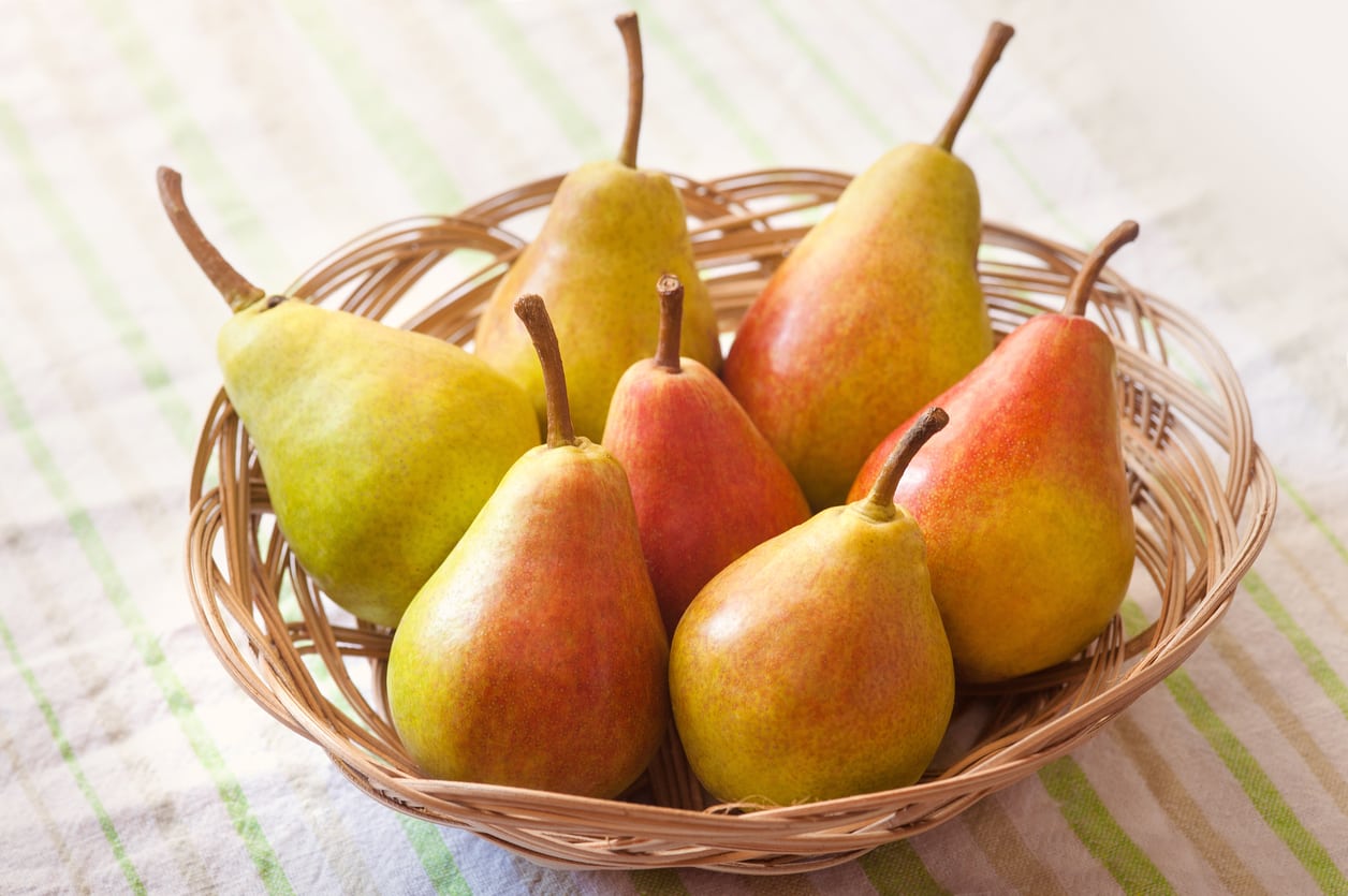 What Is A Luscious Pear: Learn To Grow A Luscious Dessert Pear