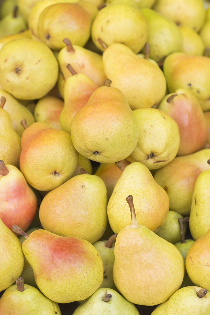 Packham Pear 10kg Box | Store | Apteds Orchards