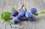 Ripe Langley Bullace Damson Plums Sitting On Wooden Table