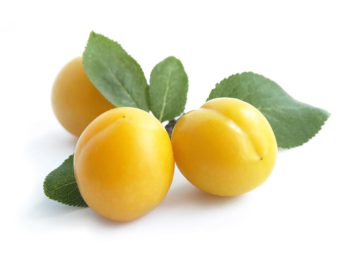 Yellow plum -  Fruits That Start With Y 