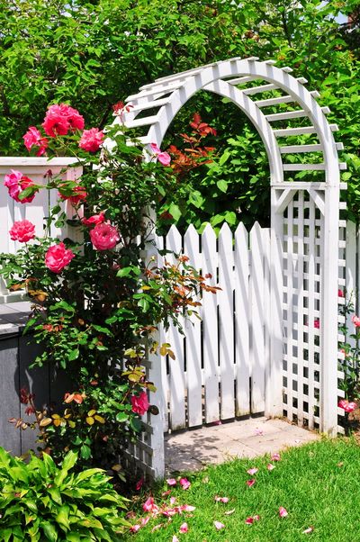 What Are Some Good Arbor Designs For, Garden Arbor Designs