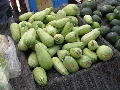 Pile Of Marrow Squash Vegetables
