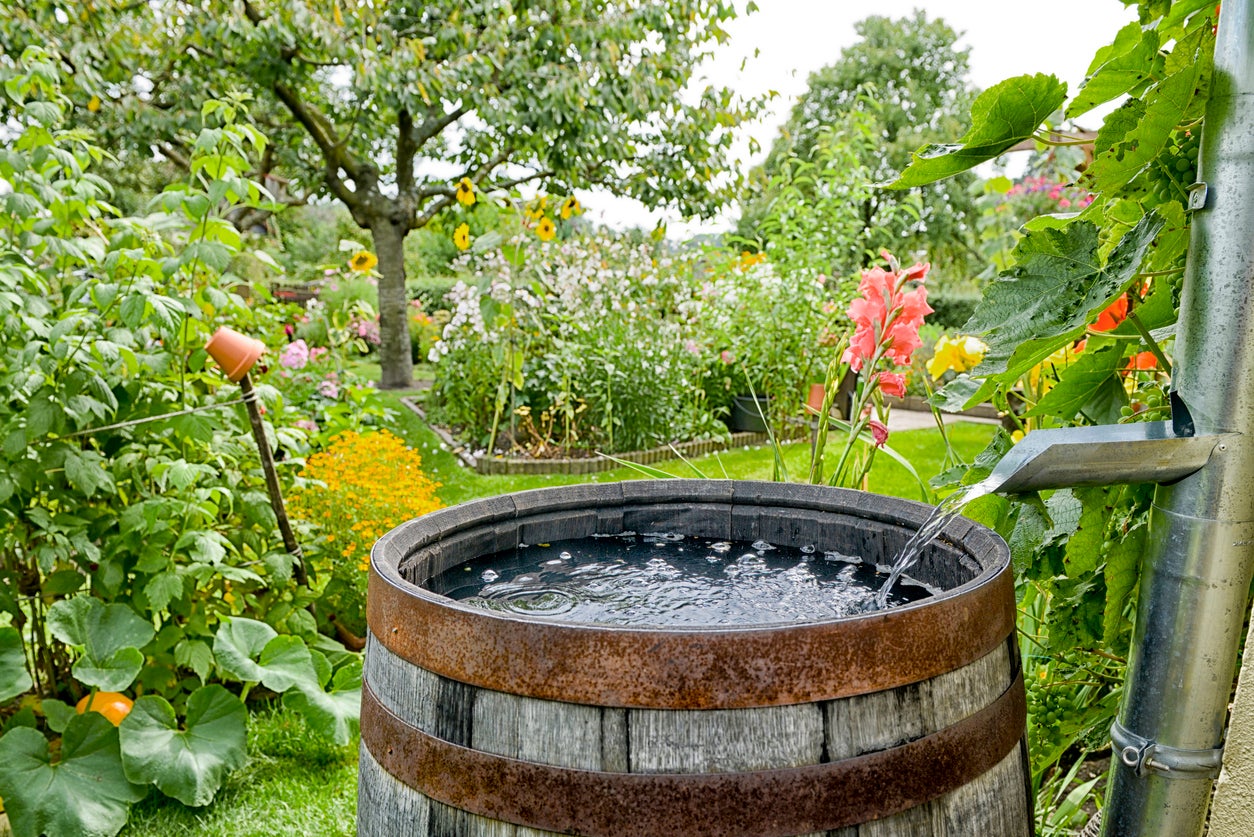 Rain Barrel Ideas – How To Make A Rain Barrel For The Garden