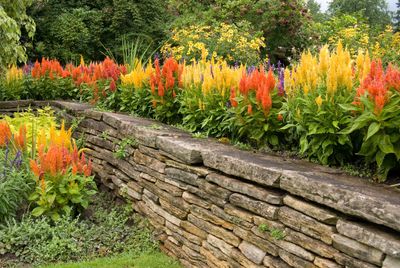 Stone Wall Ideas Learn About Building, Stone Wall Garden Designs