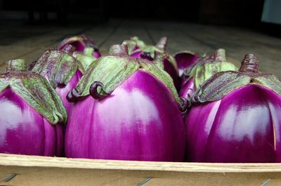Beatrice Eggplants