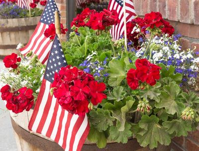 American Flags In Large Container Of Flowers