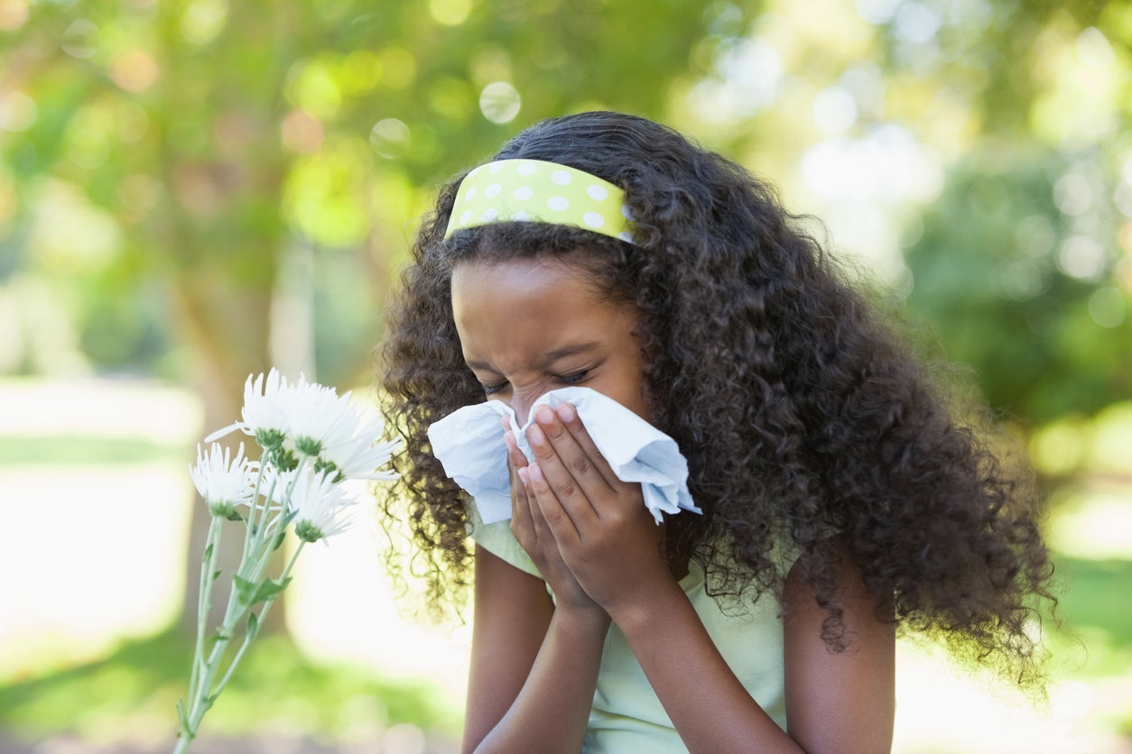 problems-with-summer-pollen-plants-that-cause-summer-allergies
