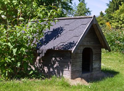 Wooden Dog House Near Plants