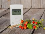 Radiation Meter Next To Strawberries