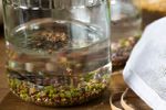 Seeds In Jar Of Water For Treatment