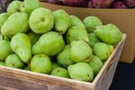 summer pears