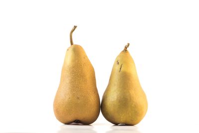 bosc pear