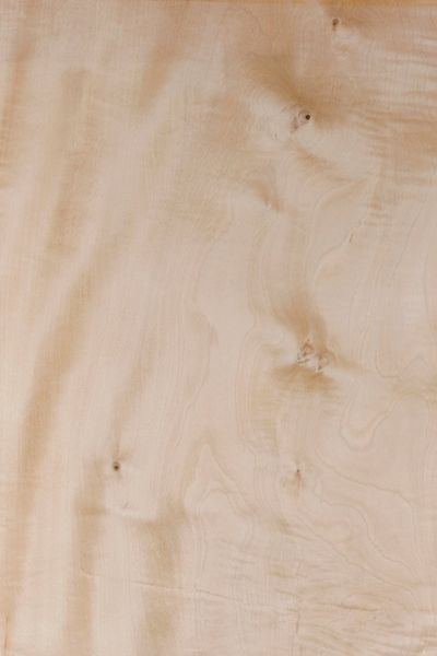 Horse Chestnut Wood