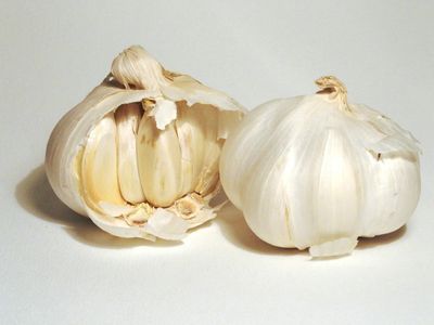 Bulbs Of Lorz Italian Garlic