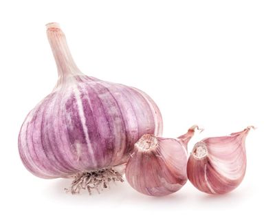 Purple Striped Garlic Head And Cloves