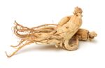 Ginseng Plant Roots