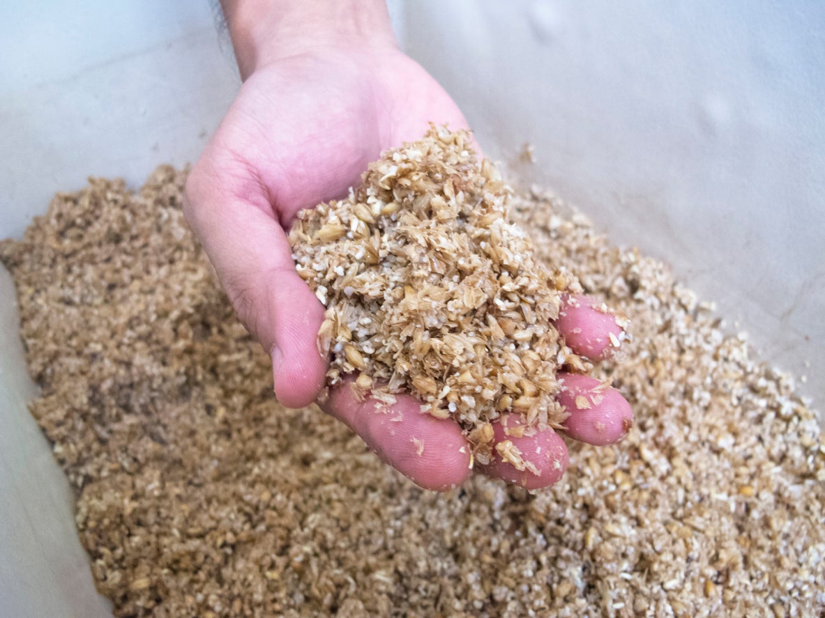 Utilizing Spent Brewery Grains for Composting, Animal Feed, and Donating: Everything You Need to Know!