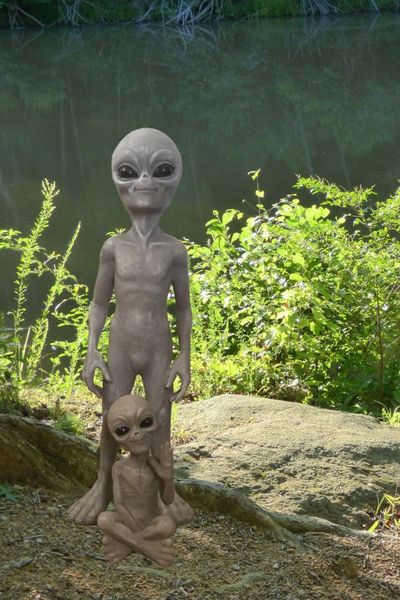 Two Aliens in an Extraterrestrial Friendly Garden