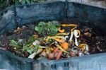 Compost Bucket Full Of Food Compost