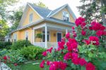Bright Pink Flowers In Front Of Yellow House