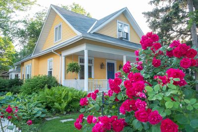 Bright Pink Flowers In Front Of Yellow House