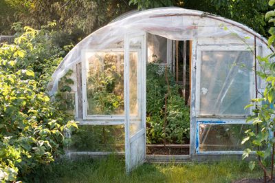 Greenhouse In The Garden
