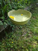 DIY Hovering Bird Bath In Garden