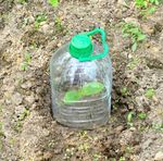 Recycled Water Bottle Being Used In A Garden