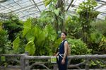 Woman In A Botanical Garden