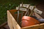DIY Wooden Plant Markers