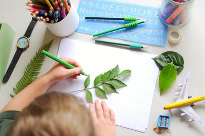 Child Sitting At An Art Table Tracing A Green Plant