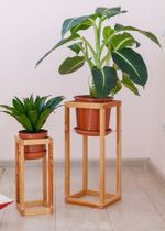 Indoor Potted Houseplants On Wooden Plant Stands