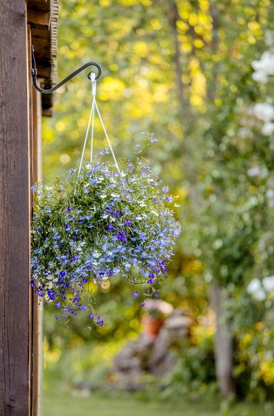Decorative Plant Hook Holding A Hanging Basket Of Flowers