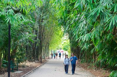 People Walking Through Green Overhung Botanical Garden
