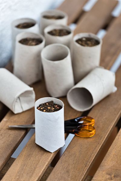 DIY Planters Made From Cardboard Filled With Soil