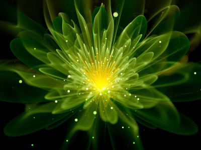 Glow-In-The-Dark Plant
